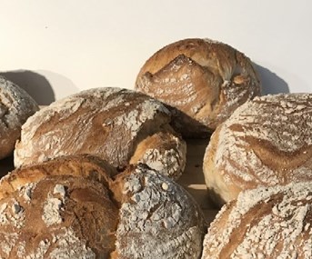 10. Desembrood